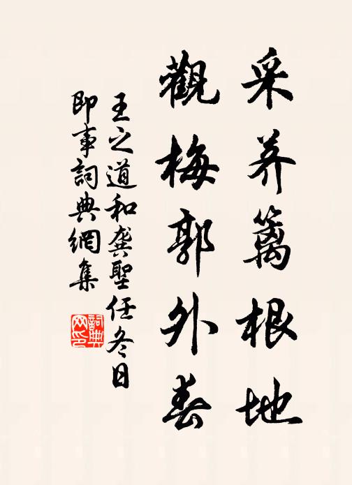 王之道采荠篱根地，观梅郭外春书法作品欣赏