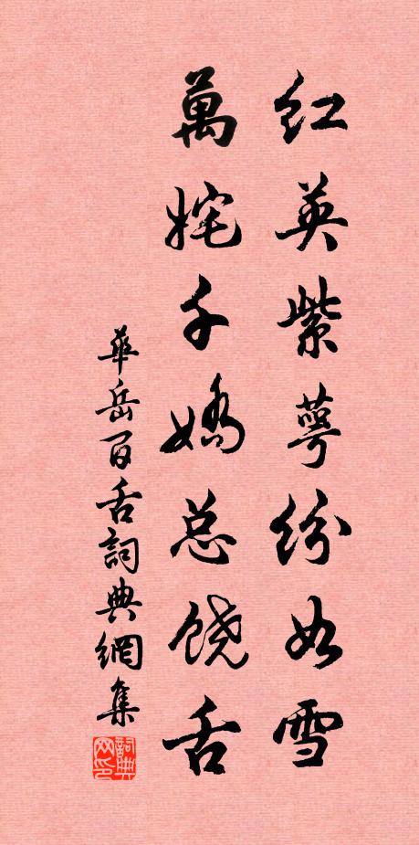 华岳红英紫萼纷如雪，万姹千娇总饶舌书法作品欣赏