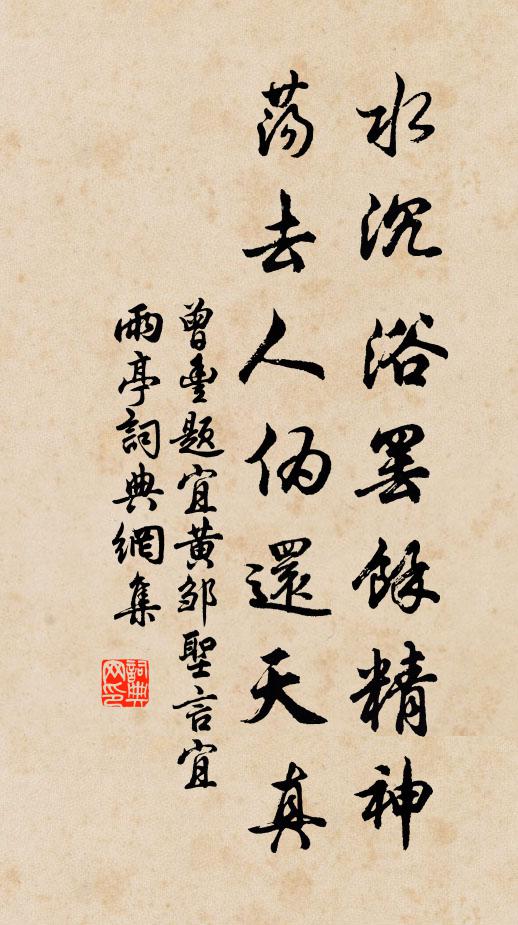 曾丰水沉浴罢余精神，荡去人伪还天真书法作品欣赏