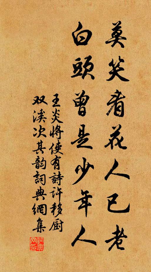 王炎莫笑看花人已老，白头曾是少年人书法作品欣赏