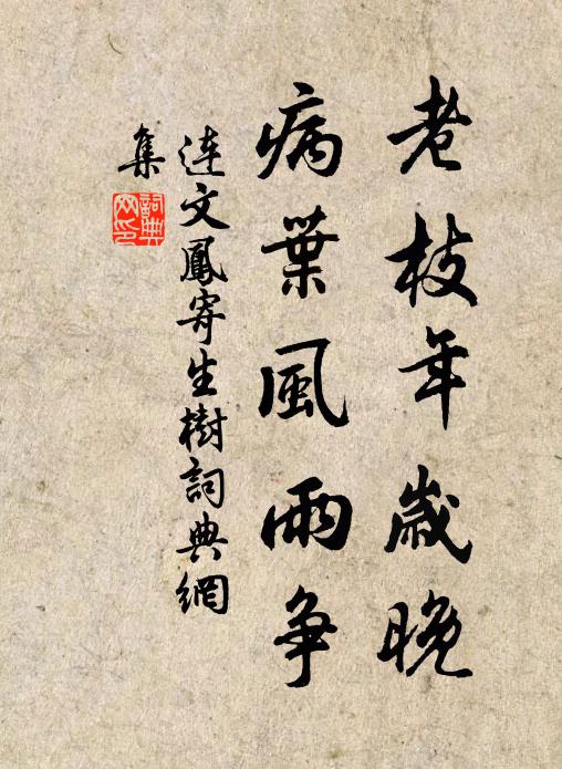 连文凤老枝年岁晚，病叶风雨争书法作品欣赏