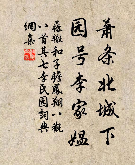 苏辙萧条北城下,园号李家媪书法作品欣赏