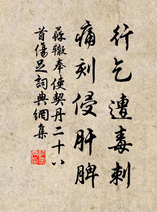 苏辙行乞遭毒刺，痛刻侵肝脾书法作品欣赏