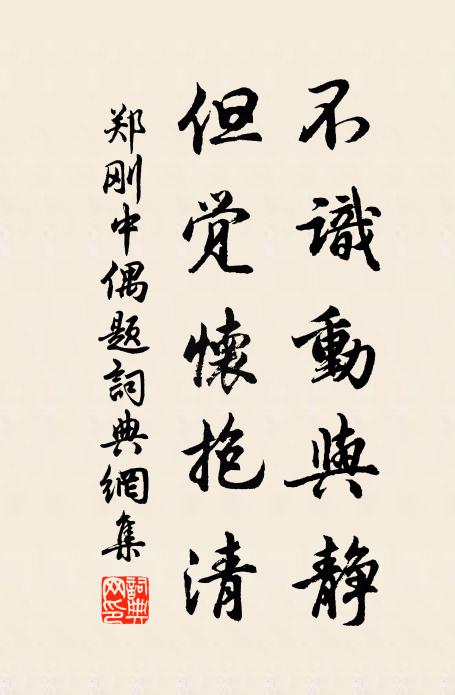 郑刚中不识动与静，但觉怀抱清书法作品欣赏