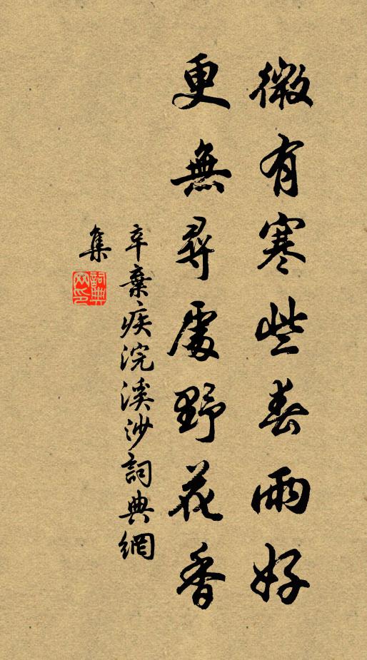 辛弃疾微有寒些春雨好，更无寻处野花香书法作品欣赏