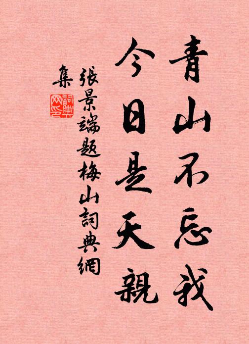 张景端青山不忘我，今日是天亲书法作品欣赏
