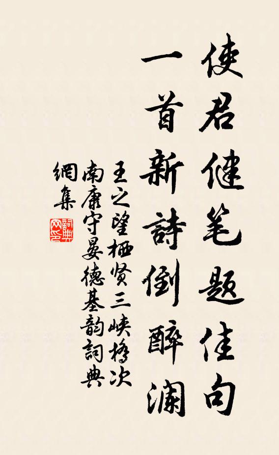 王之望使君健笔题佳句，一首新诗倒醉澜书法作品欣赏