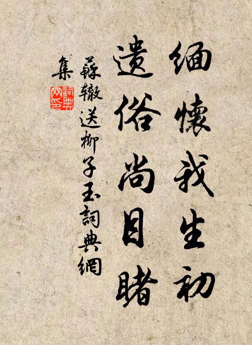 苏辙缅怀我生初，遗俗尚目睹书法作品欣赏