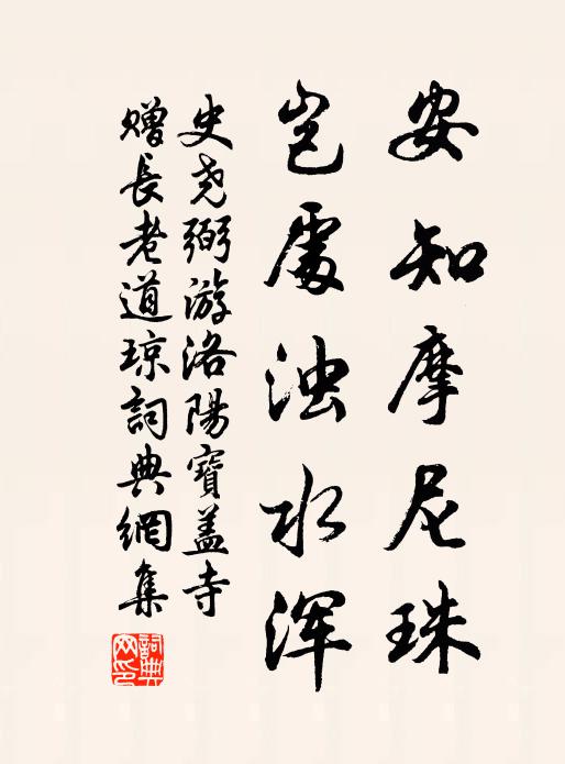 史尧弼安知摩尼珠，岂处浊水浑书法作品欣赏