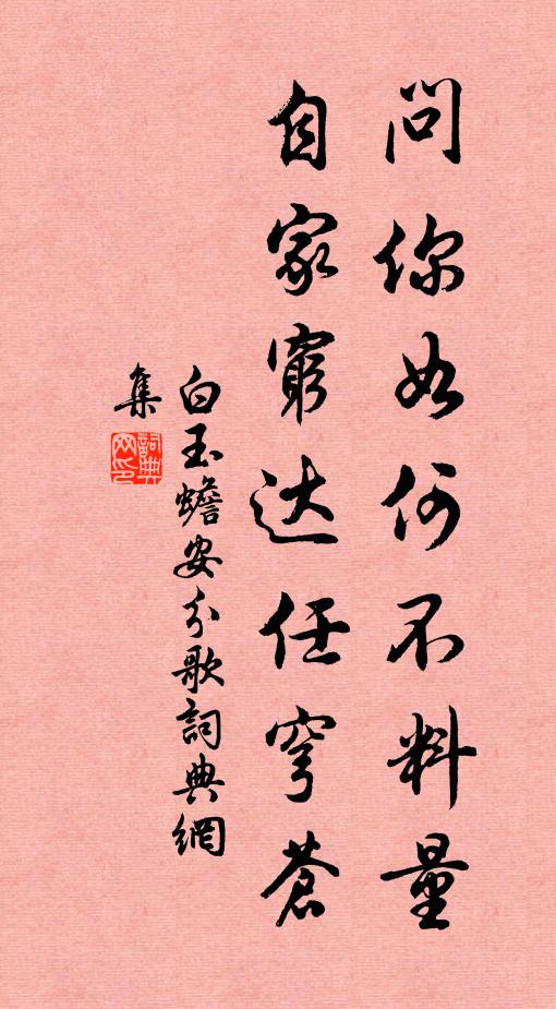 白玉蟾问你如何不料量，自家穷达任穹苍书法作品欣赏