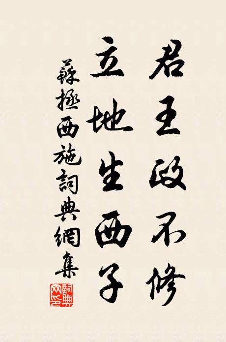 苏拯君王政不修，立地生西子书法作品欣赏