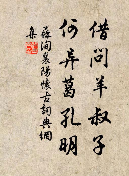 苏洵借问羊叔子，何异葛孔明书法作品欣赏