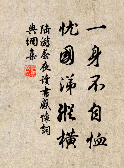 陆游一身不自恤，忧国涕纵横书法作品欣赏