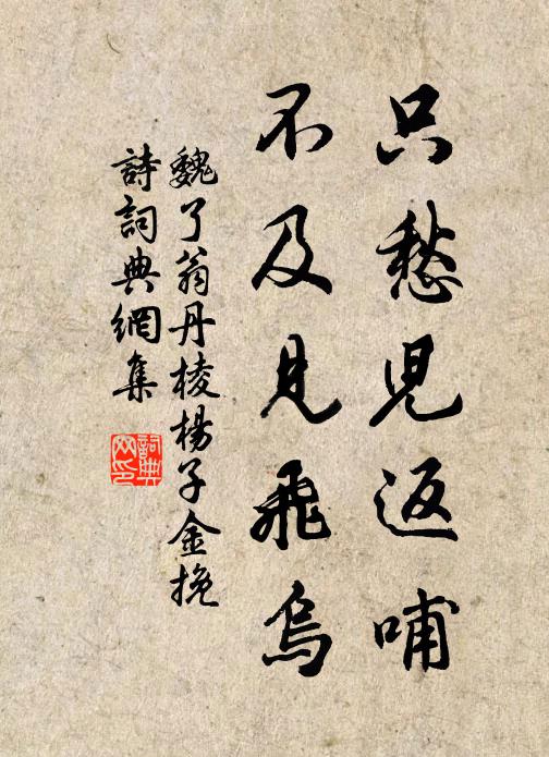 魏了翁只愁儿返哺，不及见飞乌书法作品欣赏