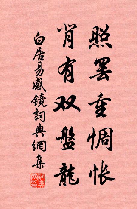 白居易照罢重惆怅，背有双盘龙书法作品欣赏
