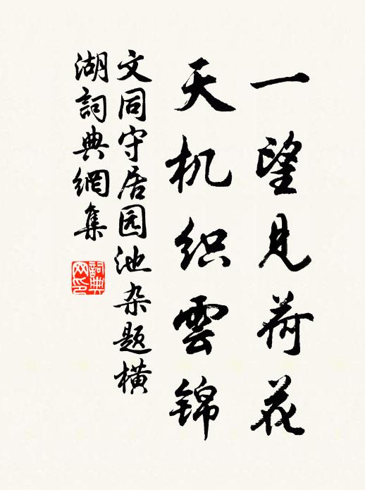 文同一望见荷花，天机织云锦书法作品欣赏