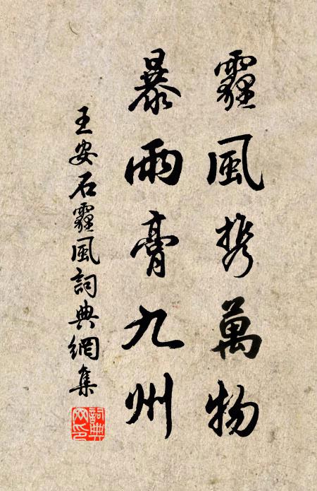 王安石霾风携万物，暴雨膏九州书法作品欣赏