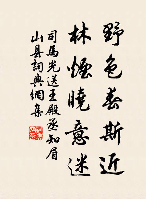 司马光野色春斯近，林烟晓意迷书法作品欣赏