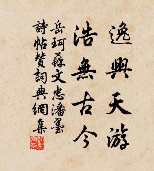 岳珂逸兴天游，浩无古今书法作品欣赏