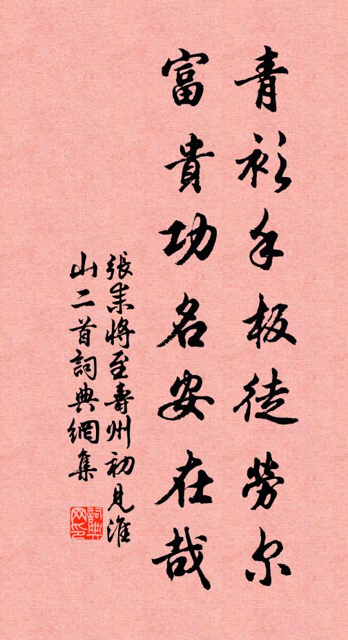 张耒青衫手板徒劳尔，富贵功名安在哉书法作品欣赏