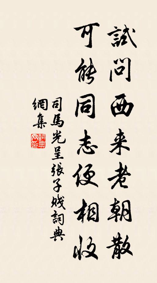司马光试问西来老朝散，可能同志便相收书法作品欣赏