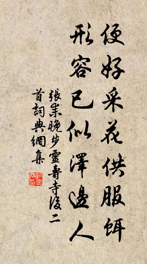 张耒便好采花供服饵，形容已似泽边人书法作品欣赏
