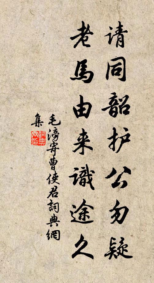 毛滂请同韶护公勿疑，老马由来识途久书法作品欣赏