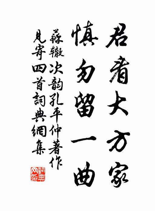 苏辙君看大方家，慎勿留一曲书法作品欣赏