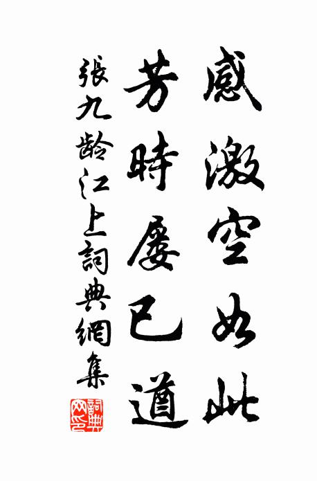 张九龄感激空如此，芳时屡已遒书法作品欣赏