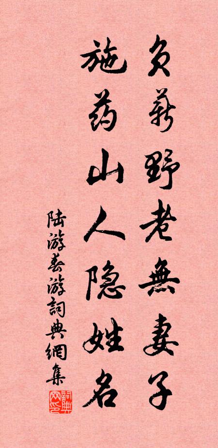 陆游负薪野老无妻子，施药山人隐姓名书法作品欣赏