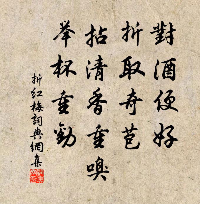 佚名对酒便好，折取奇苞，拈清香重嗅，举杯重劝书法作品欣赏