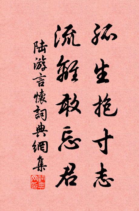 陆游孤生抱寸志，流离敢忘君书法作品欣赏