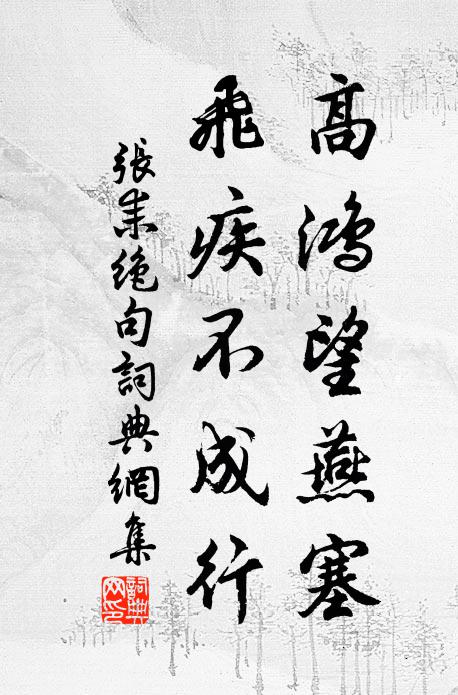 张耒高鸿望燕塞，飞疾不成行书法作品欣赏