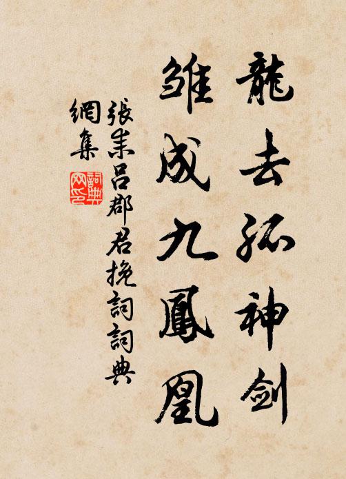 张耒龙去孤神剑，雏成九凤凰书法作品欣赏
