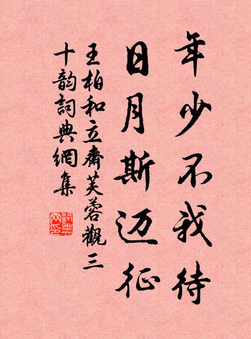 王柏年少不我待，日月斯迈征书法作品欣赏