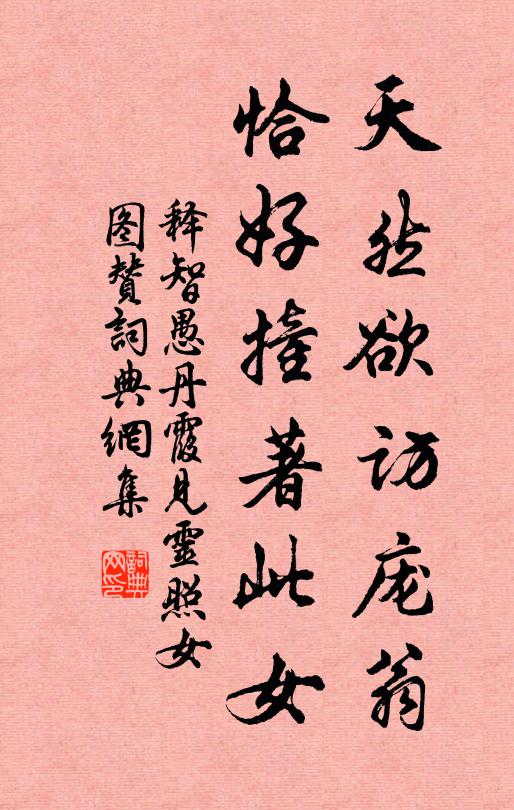 释智愚天然欲访庞翁，恰好撞著此女书法作品欣赏