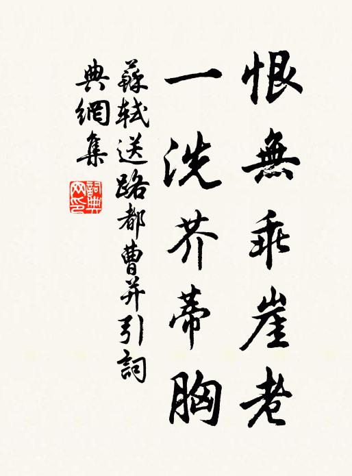 苏轼恨无乖崖老，一洗芥蒂胸书法作品欣赏