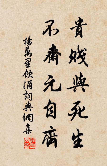 杨万里贵贱与死生，不斋元自齐书法作品欣赏