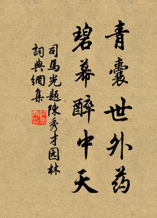 司马光青囊世外药，碧幕醉中天书法作品欣赏