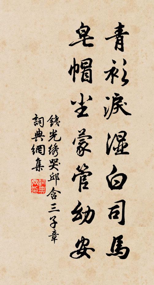钱光绣青衫泪湿白司马，皂帽尘蒙管幼安书法作品欣赏