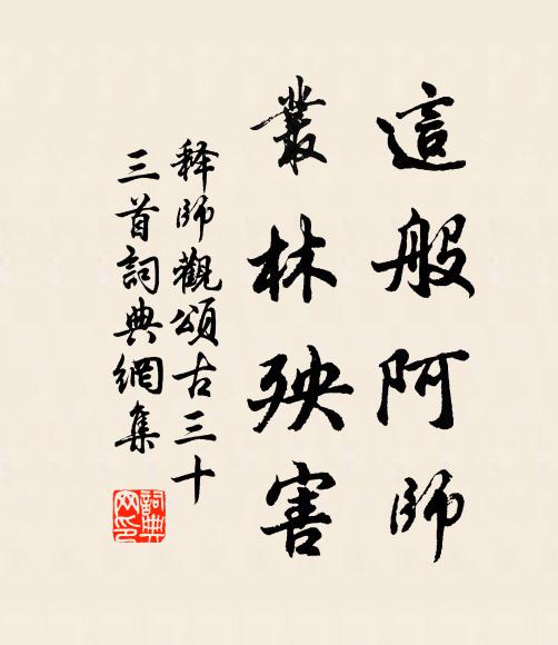 释师观这般阿师，丛林殃害书法作品欣赏
