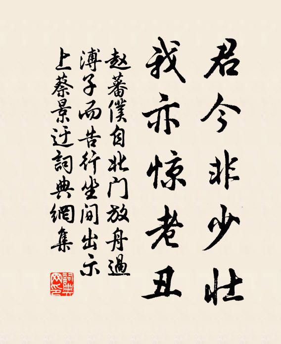 赵蕃君今非少壮，我亦惊老丑书法作品欣赏