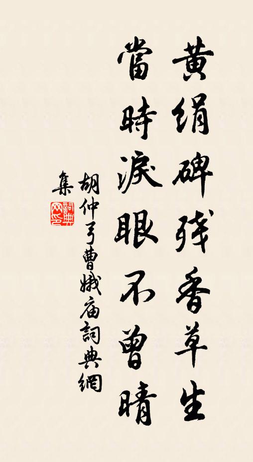 胡仲弓黄绢碑残香草生，当时泪眼不曾晴书法作品欣赏