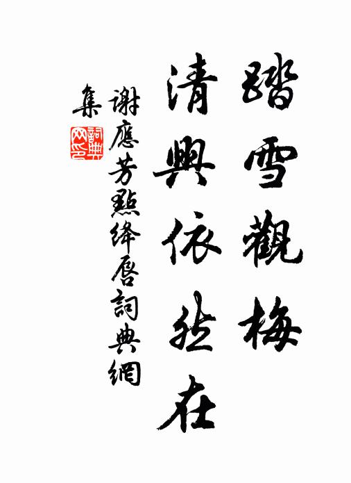 谢应芳踏雪观梅，清兴依然在书法作品欣赏