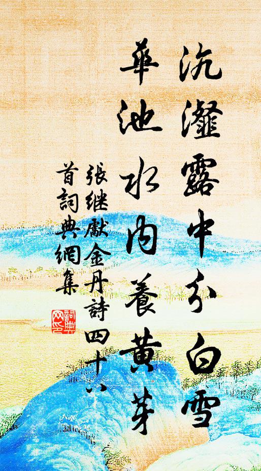 张继先沆瀣露中分白雪，华池水内养黄芽书法作品欣赏