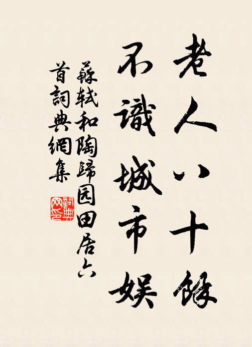 苏轼老人八十余，不识城市娱书法作品欣赏