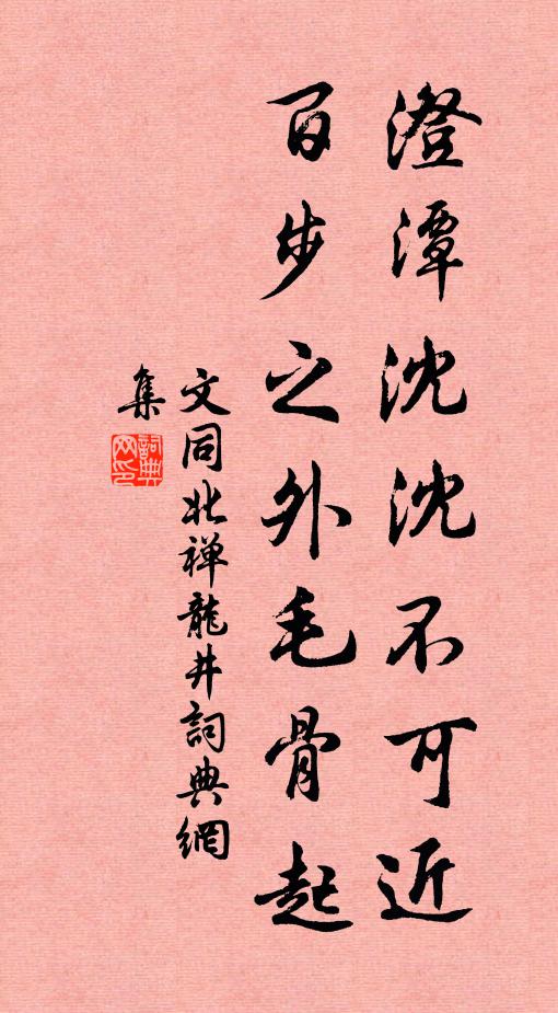 文同澄潭沈沈不可近，百步之外毛骨起书法作品欣赏