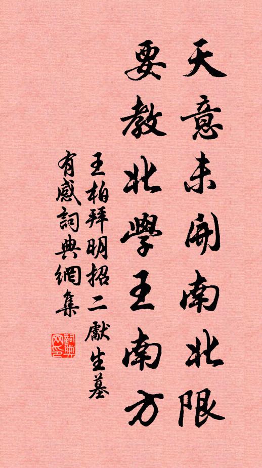 王柏天意未开南北限，要教北学王南方书法作品欣赏