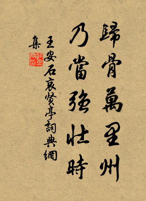 王安石归骨万里州，乃当强壮时书法作品欣赏
