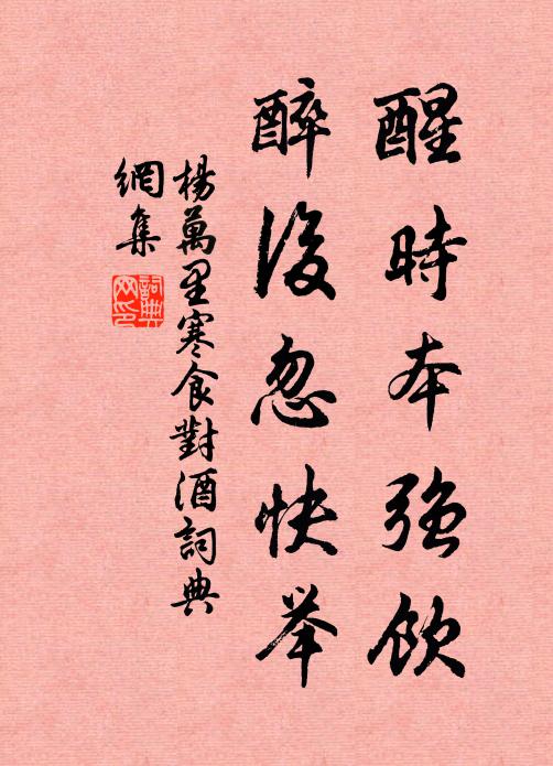 杨万里醒时本强饮，醉后忽快举书法作品欣赏